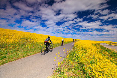「春を走る」須藤 義秋 氏