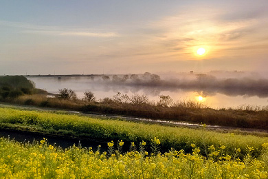 「静かな目覚」渡邉 善行 氏