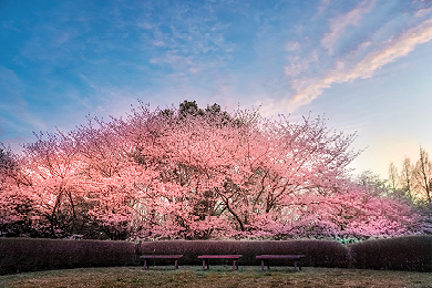 「春色劇場」福永 博文 さん