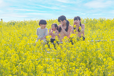 「春色の笑顔」奈良崎 和香(蘭)さん