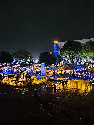 「キラキラ」長本 沙織(夏音)さん
